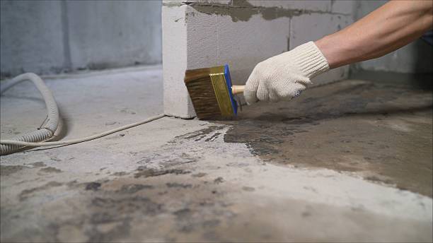 SJ Waterproofing Pros Waterproofing coverage map for Lakeview, MI and surrounding area
